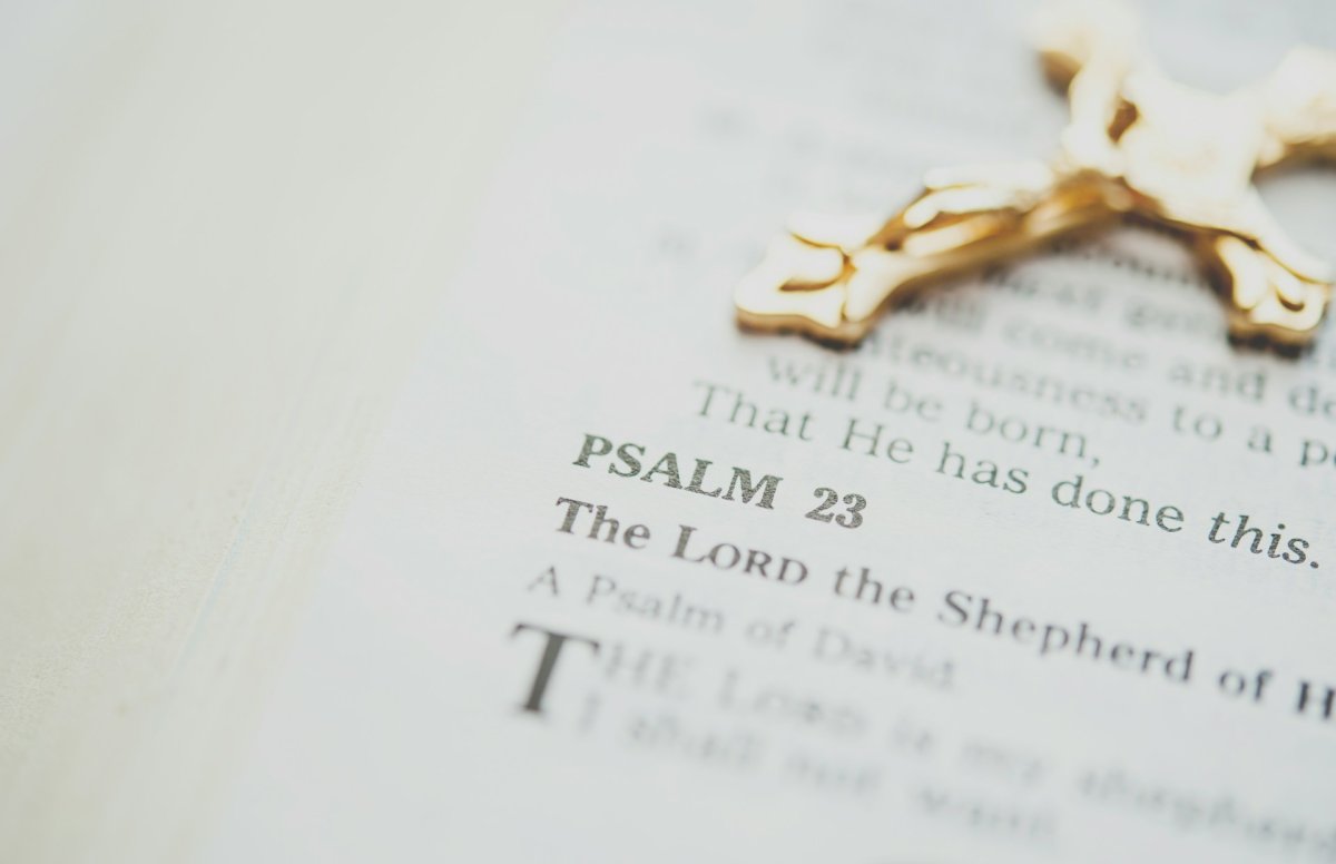 The Shepherd's Psalm: Finding Complete Sufficiency in the Covenant God